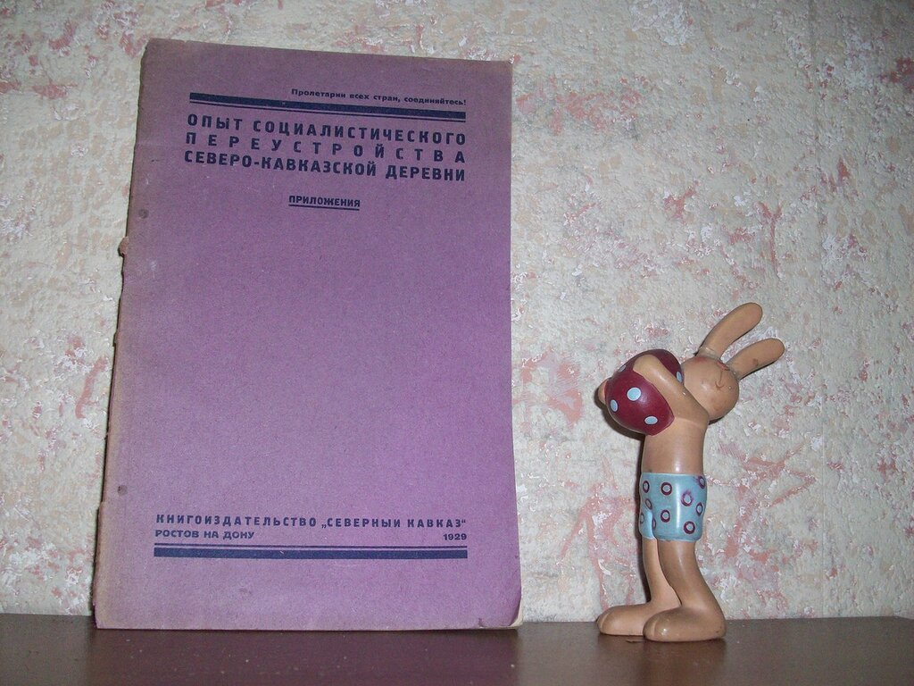 Опыт социалистического переустройства северо-кавказской деревни.