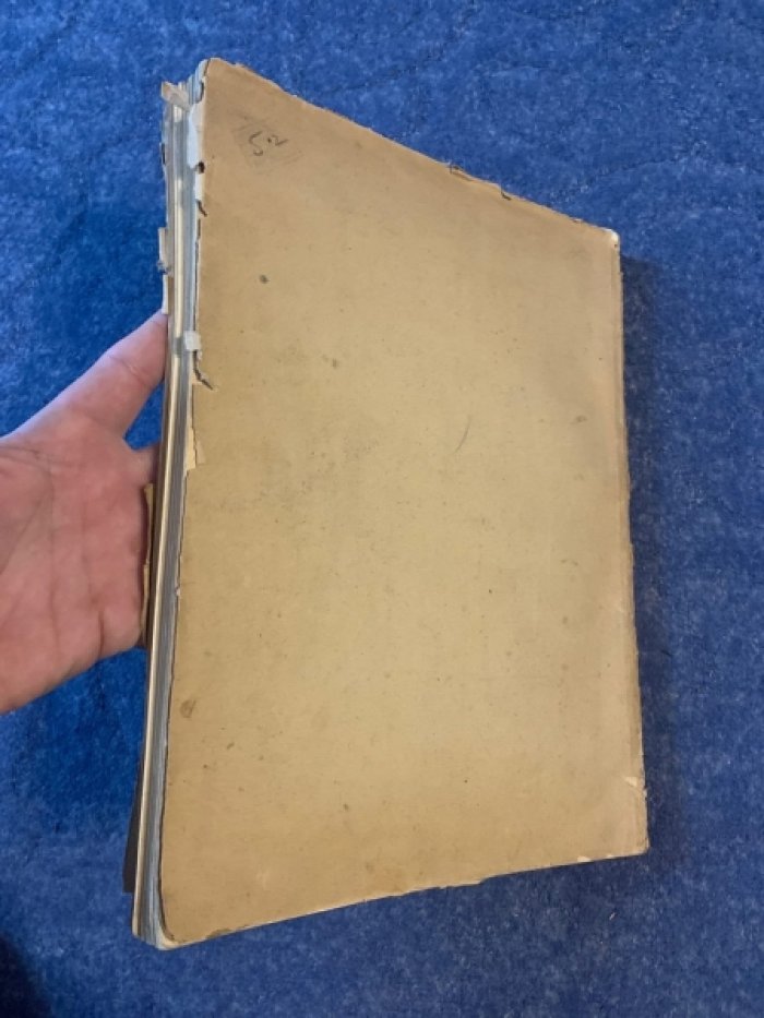 Фрески Спаса-Нередицы: издание Государственного Русского музея (1925)