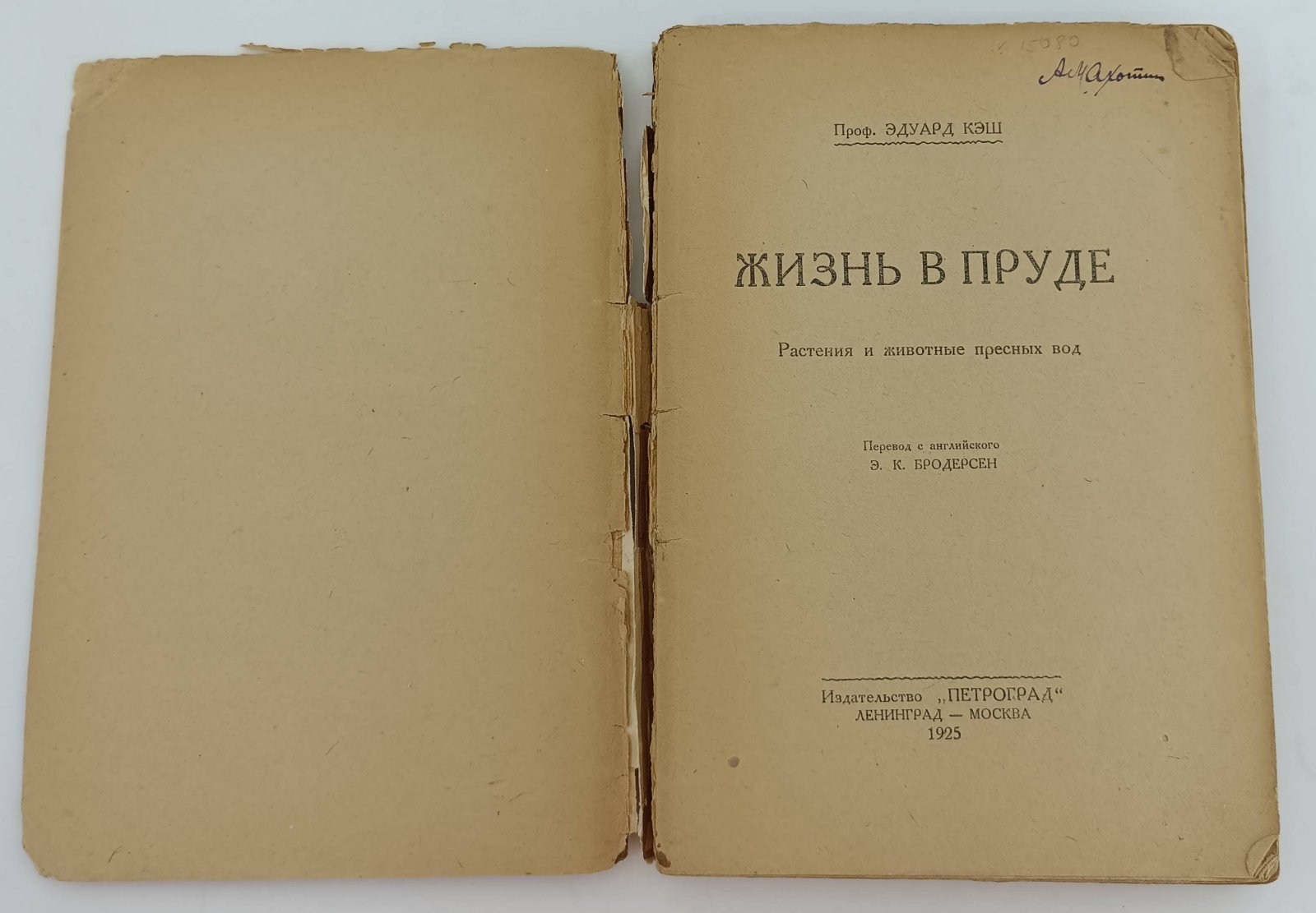 Кеш Э. Жизнь в пруде. Растения и животные пресных вод.