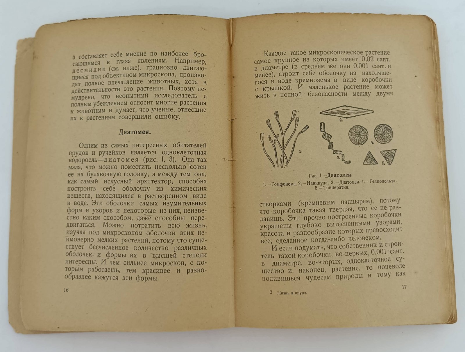 Кеш Э. Жизнь в пруде. Растения и животные пресных вод.