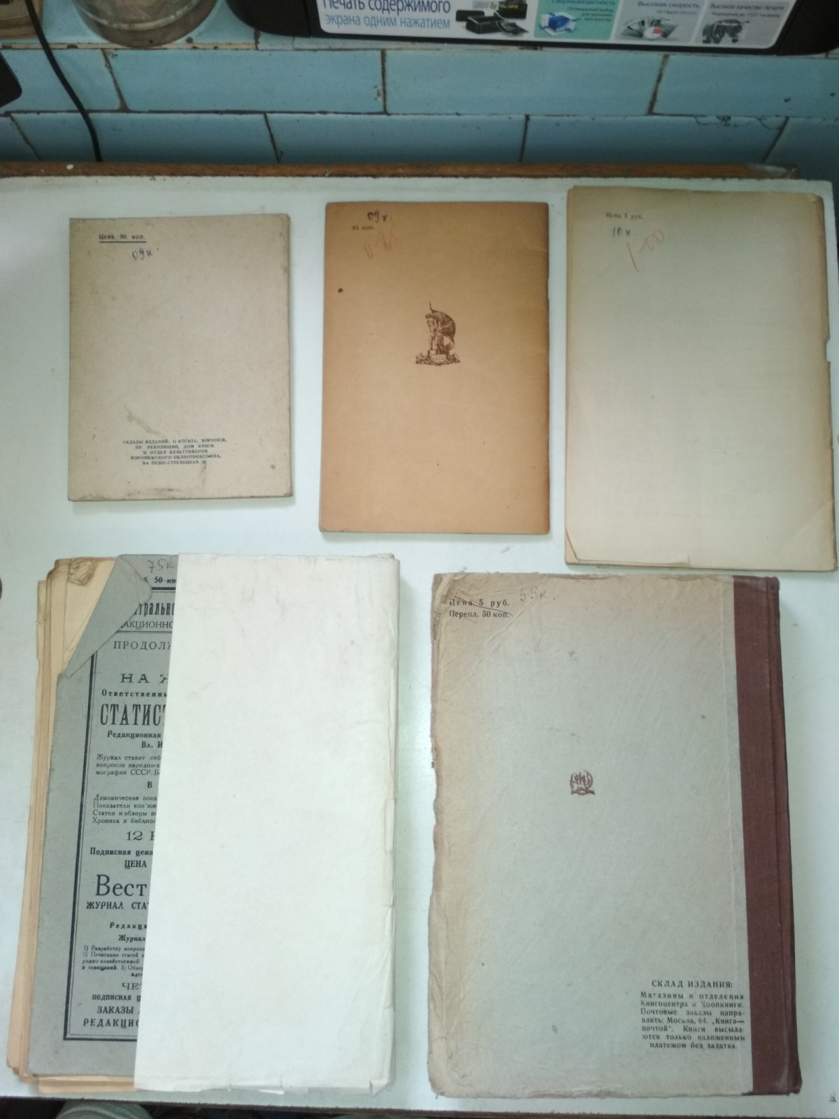Крестьянские бюджеты 1922/23 г. и 1923/24 г. Выпуск 3. Центрально-земледельческий район.