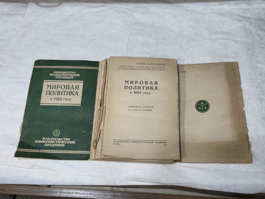 Мировая политика в 1924 году.