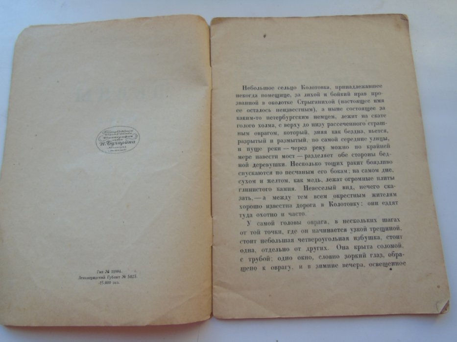 Тургенев И.С. Певцы.