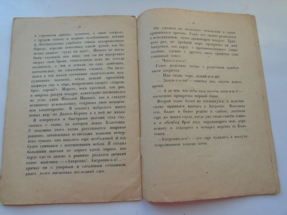 Тургенев И.С. Певцы.