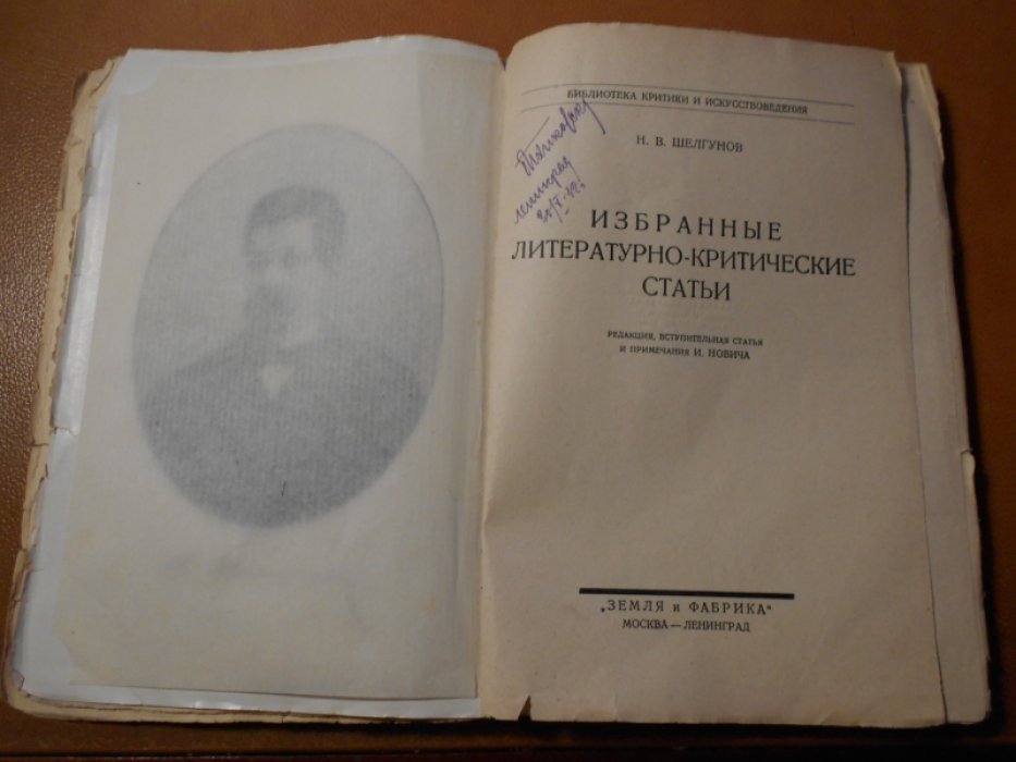 Шелгунов Н.В. Избранные литературно-критические статьи.