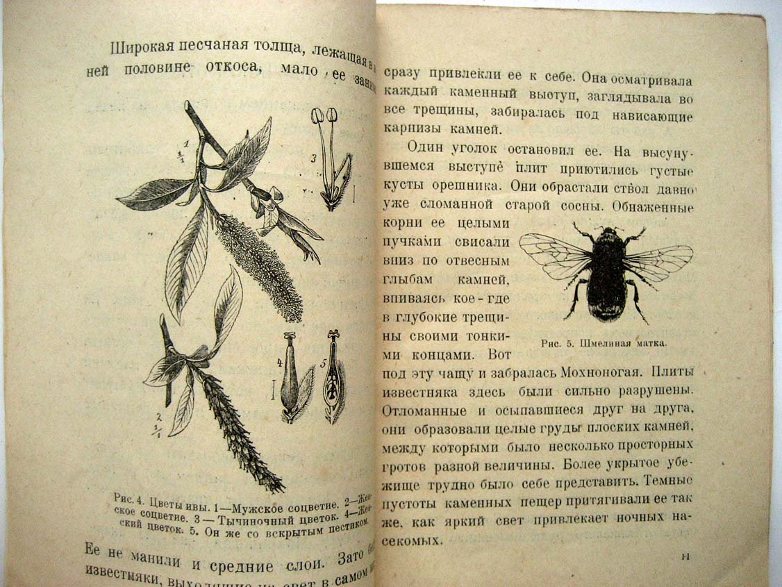 Покровский С. Носящие жало.