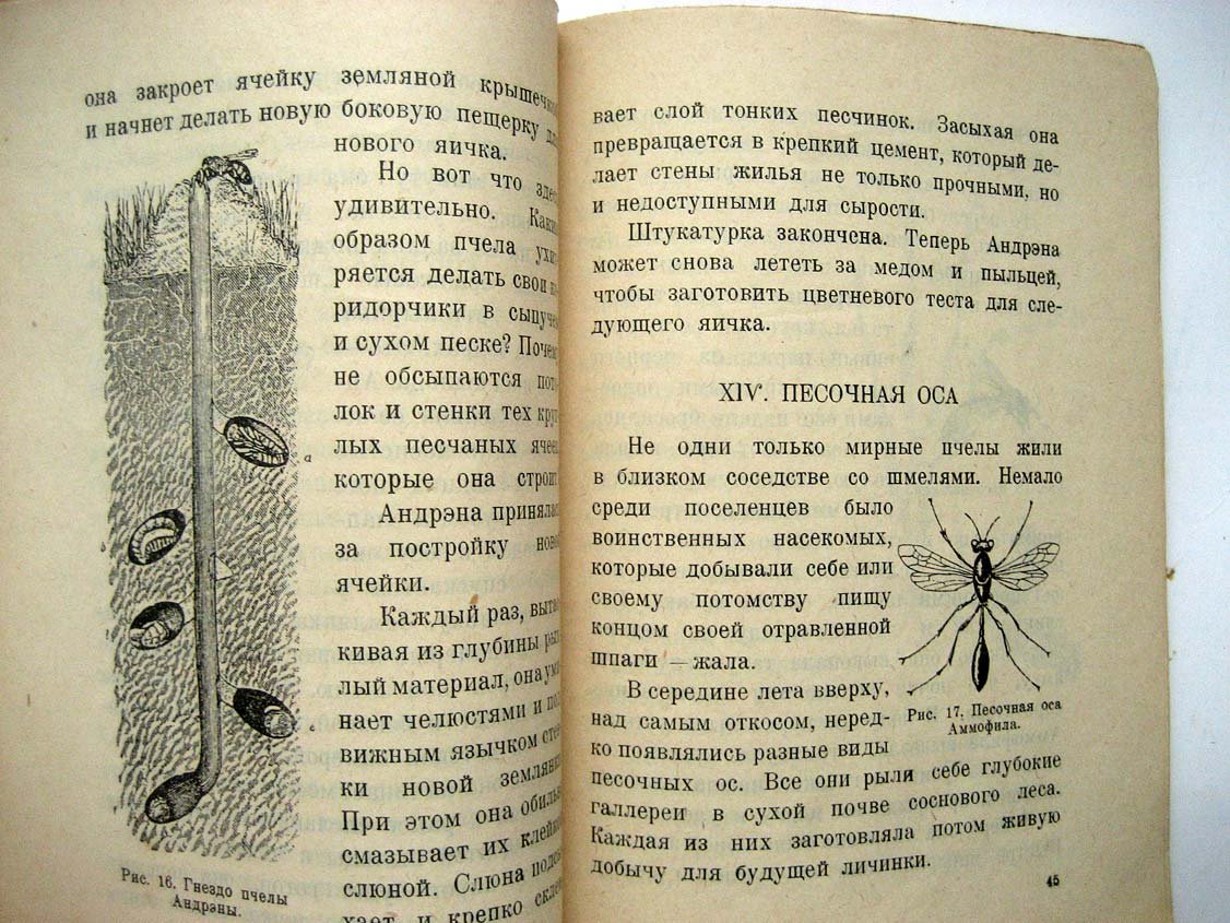 Покровский С. Носящие жало.