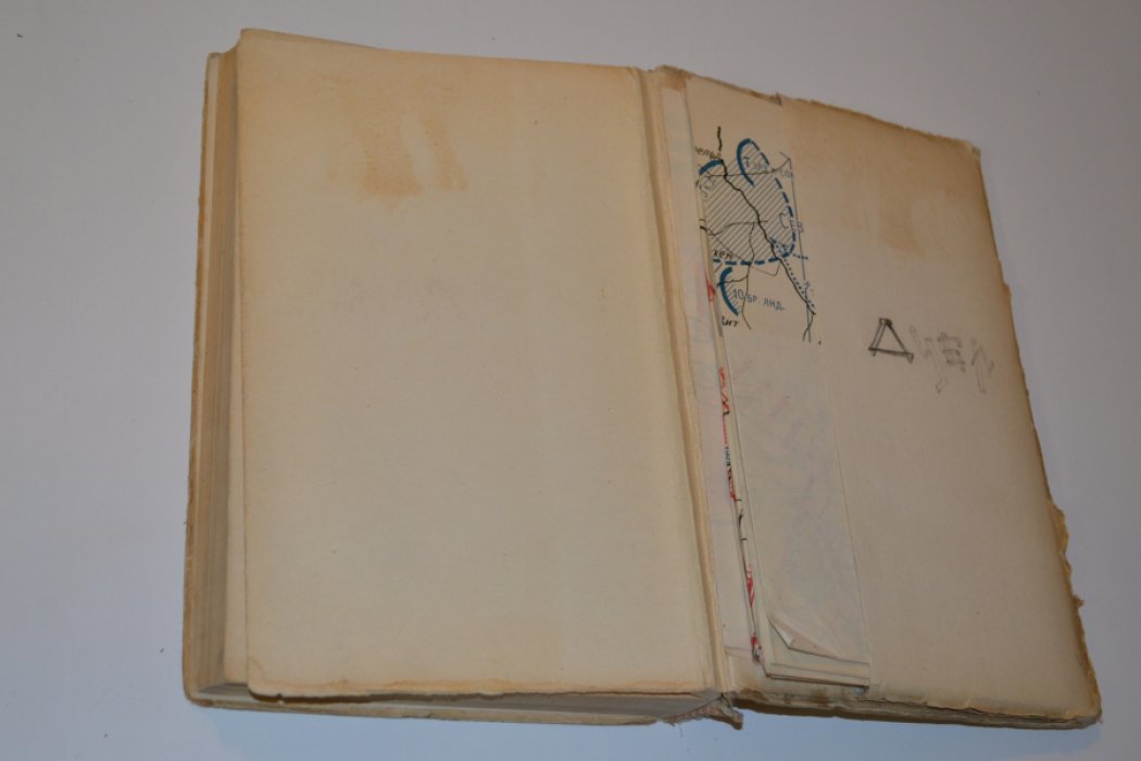 Меликов Влад. Марна-1914 года. Висла-1920 года. Смирна-1922 года