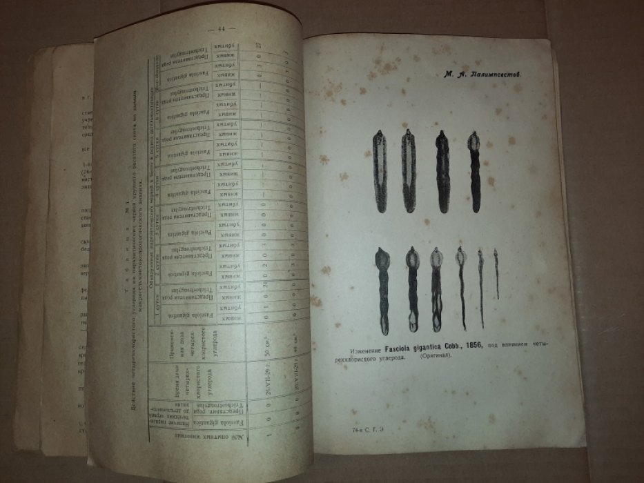 Палимпсестов М.А., Малышев М.А. Работа 74-ой Союзной Гельминтологической Экспедиции в Астраханском Округе Нижне-Волжского Края 1/VI-1/IX 1929 г.
