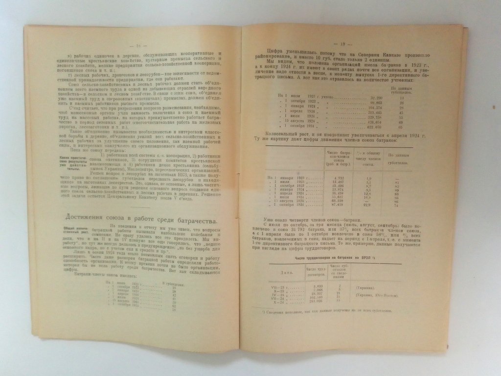 Отчет ЦК всеработземлеса. V съезду (1923-1924 г.).