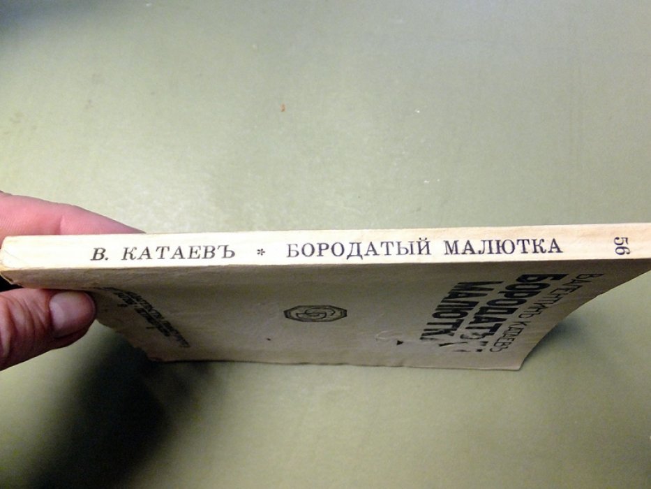 Катаев В. Бородатый малютка.
