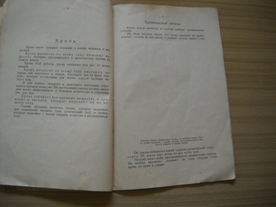 Завадовский Б., Уник В. Человеческое тело как оно устроено и как живет. Книга-альбом.