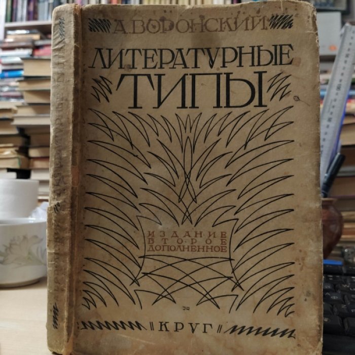 Воронский А. Литературные типы.