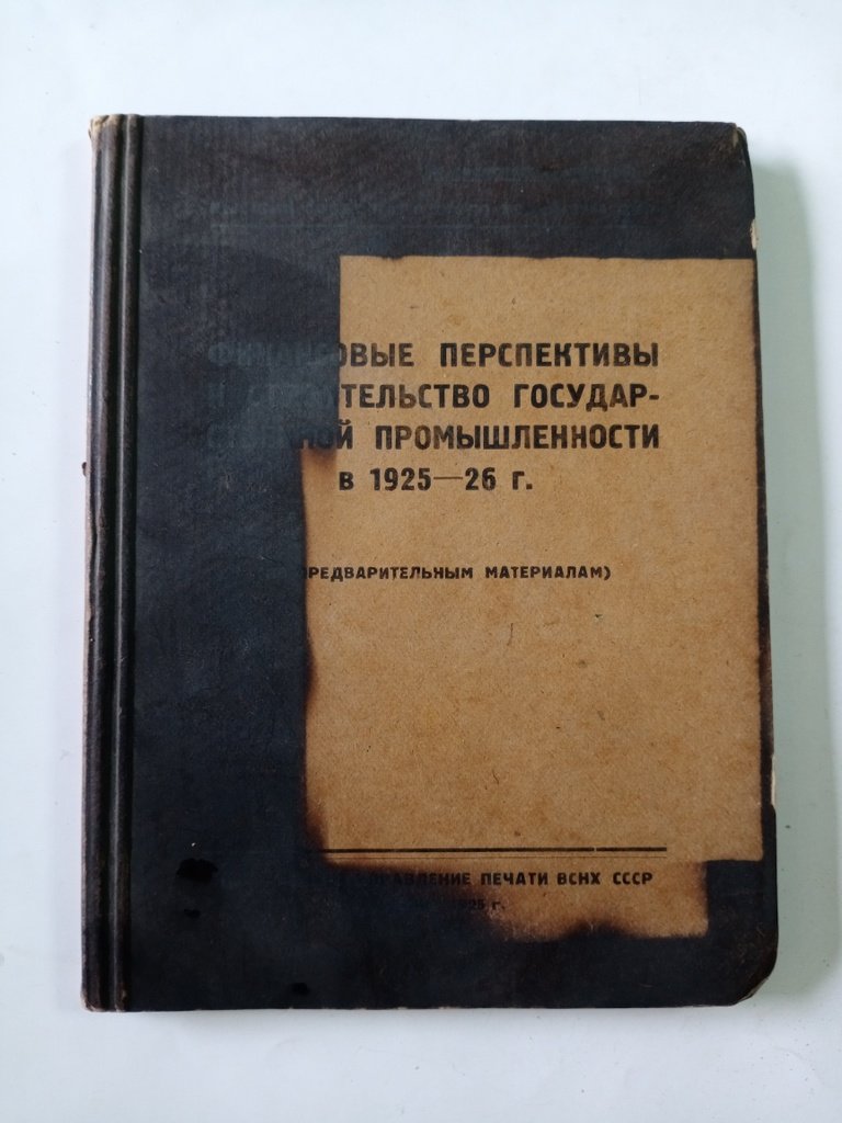 Финансовые перспективы и строительство государственной промышленности в 1925-25 г.