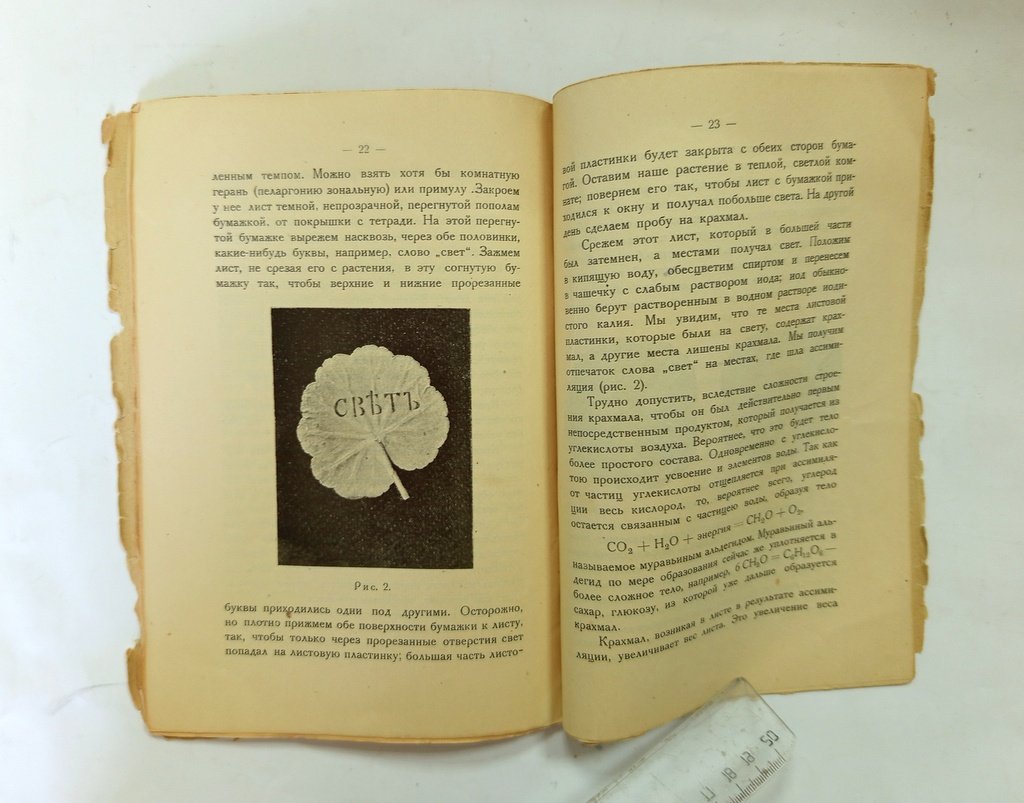 Крашенинников Ф. Н. Солнце - источник жизни.