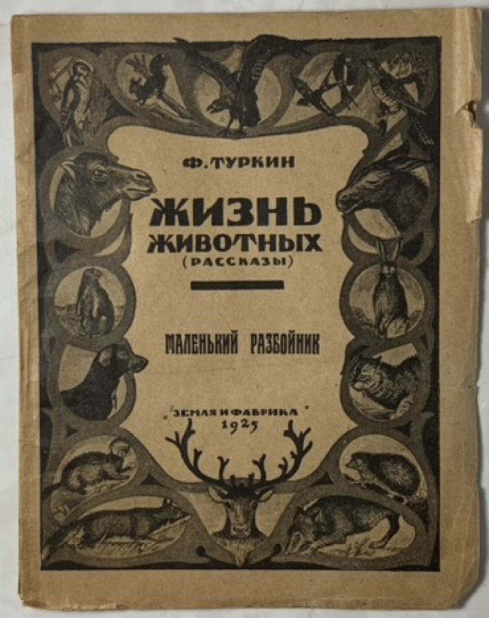Туркин Ф. Маленький разбойник.