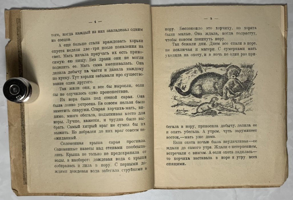 Туркин Ф. Маленький разбойник.