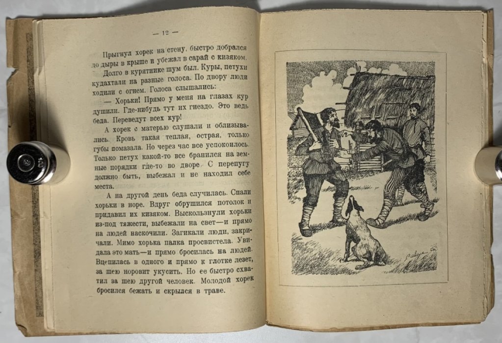 Туркин Ф. Маленький разбойник.