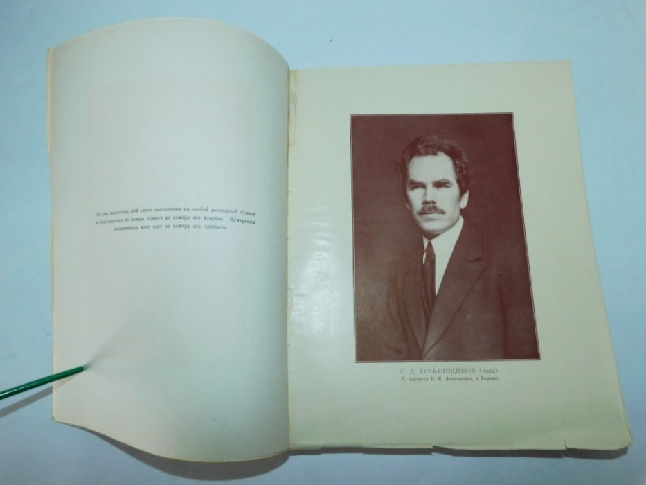 Гребенщиков Георгий. Чураевы. Том 1: Братья.