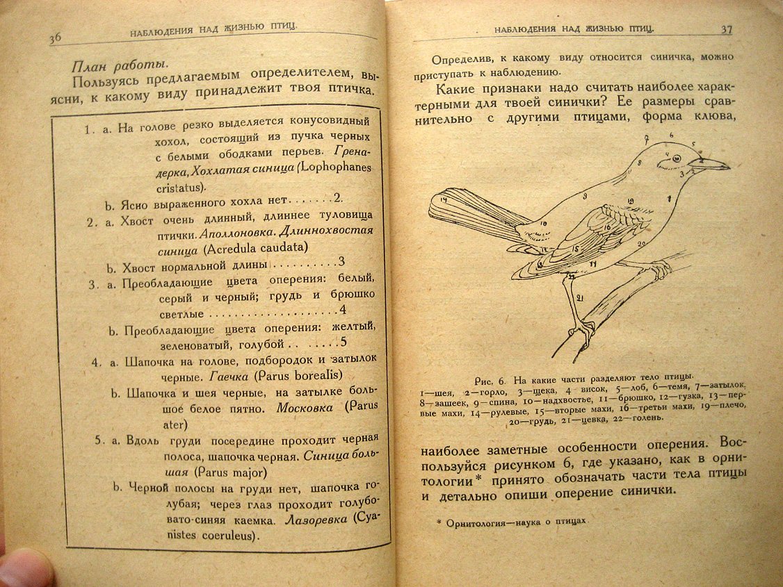 Герд С. На пути к природе. Сборник тем для наблюдения животных и растений. Выпуск 1. В помощь юным натуралистам, членам школьных кружков