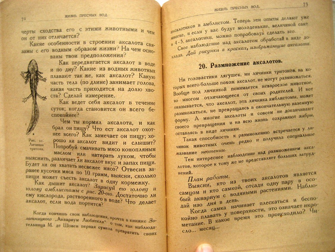 Герд С. На пути к природе. Сборник тем для наблюдения животных и растений. Выпуск 1. В помощь юным натуралистам, членам школьных кружков