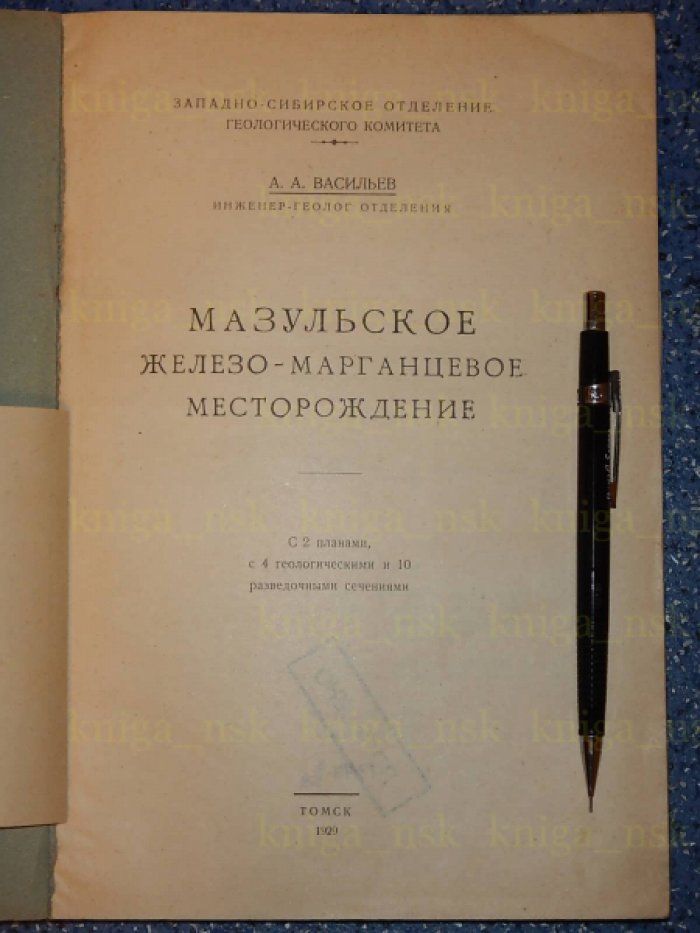 Васильев А.А. Мазульское железо-марганцевое месторождение.
