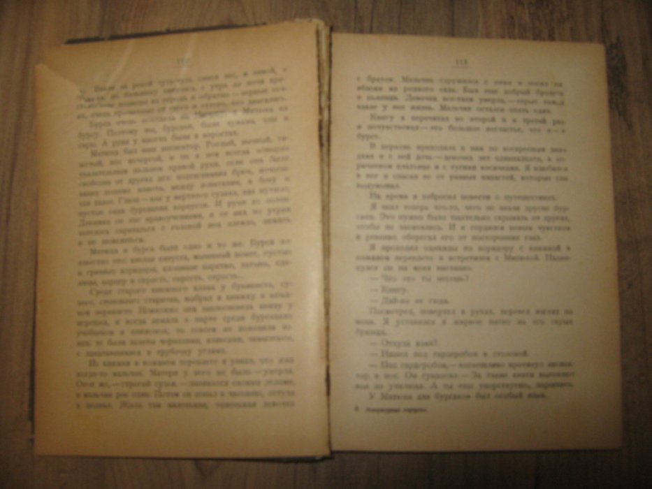 Воронский А. Литературные портреты. В двух томах.