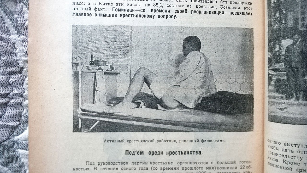 Крестьянский интернационал: Орган Международного крестьянского совета (Крестинтерна).