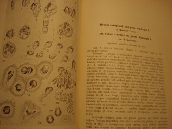 Ячевский А.А. Юбилейный сборник, посвященный И. П. Бородину.
