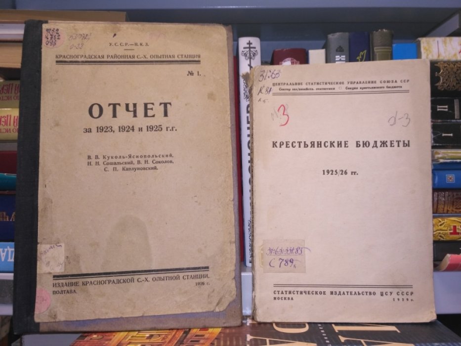 Крестьянские бюджеты 1925/26 г.