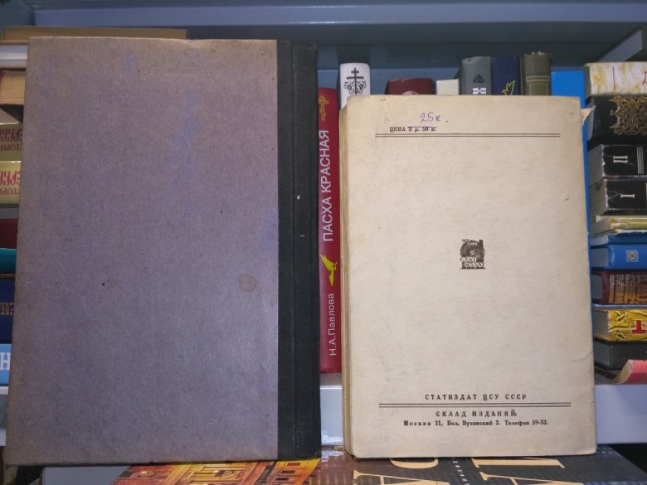 Крестьянские бюджеты 1925/26 г.
