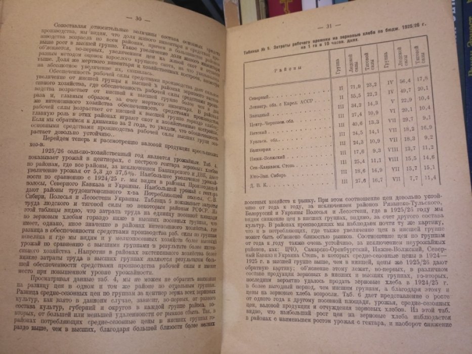 Крестьянские бюджеты 1925/26 г.