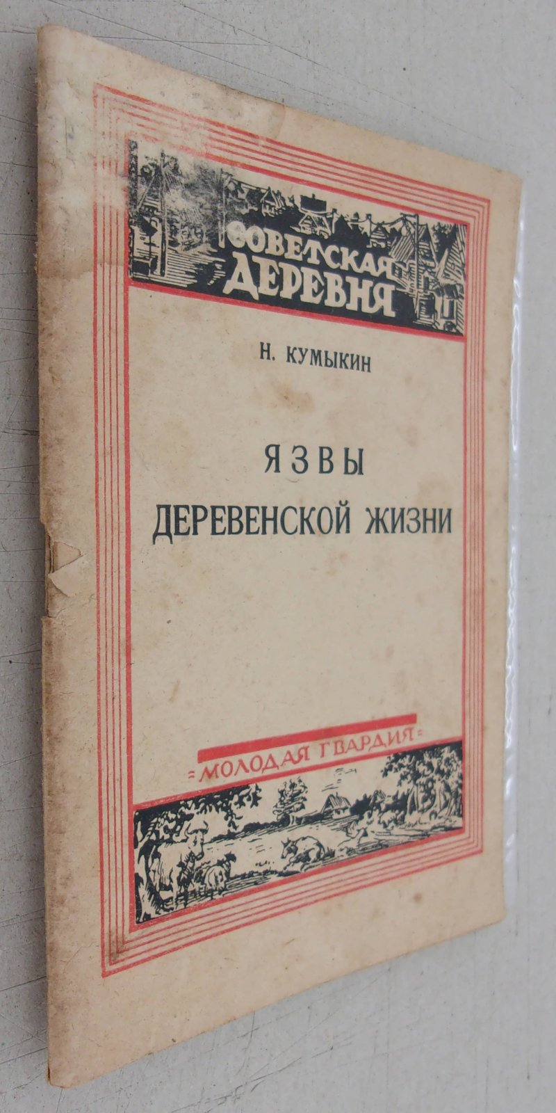 Кумыкин Н. Язвы деревенской жизни. Бытовые деревенские преступления.