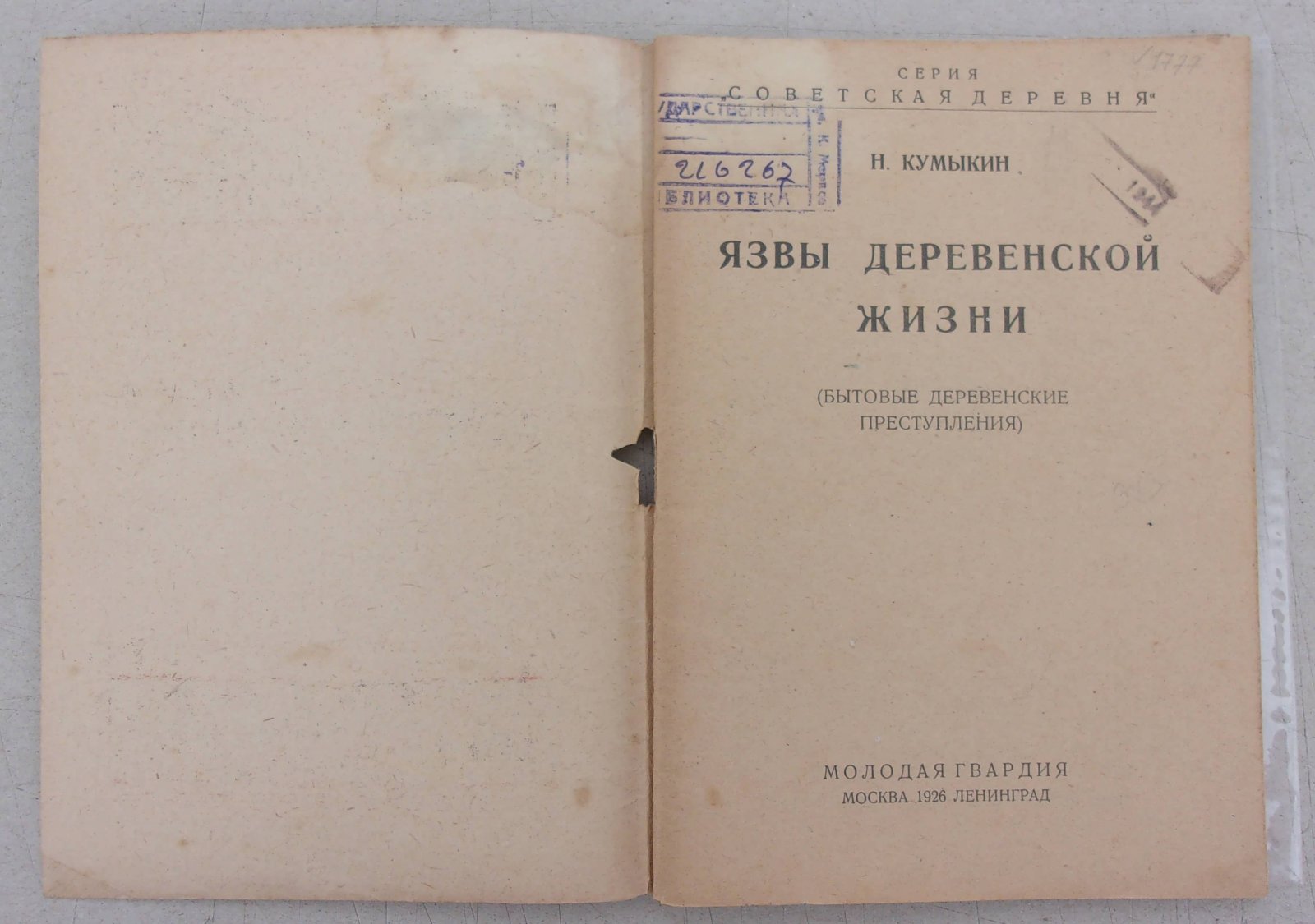 Кумыкин Н. Язвы деревенской жизни. Бытовые деревенские преступления.