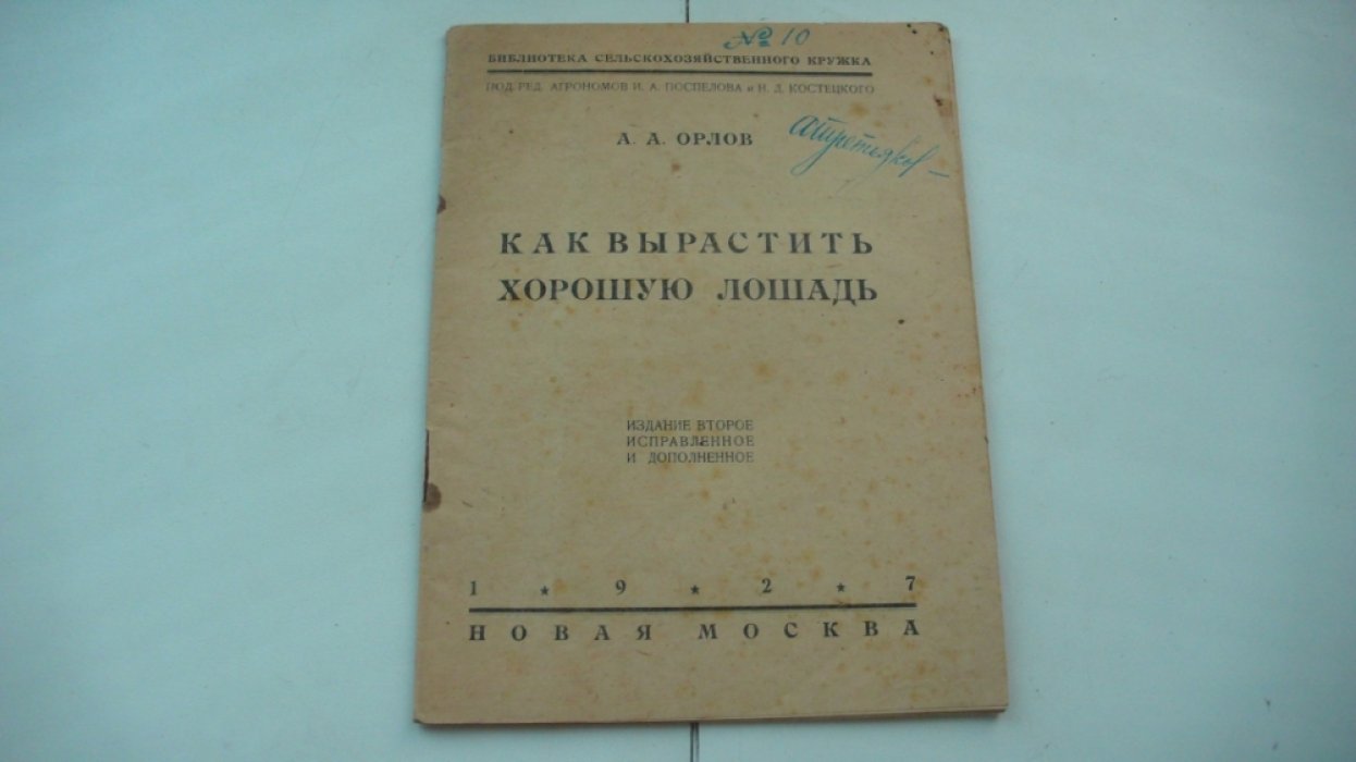 Орлов А.А. Как вырастить хорошую лошадь.