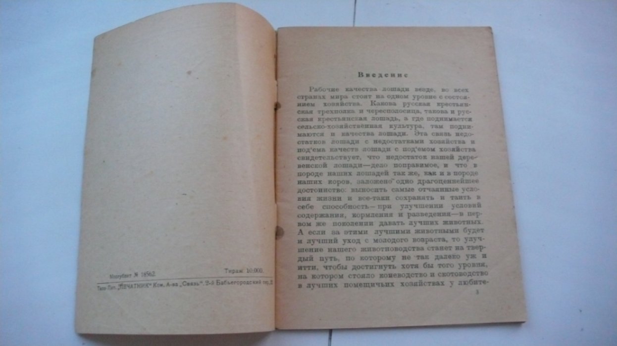 Орлов А.А. Как вырастить хорошую лошадь.