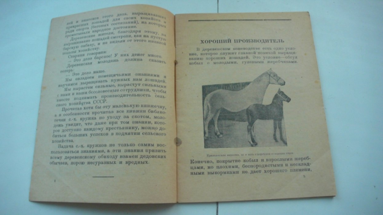 Орлов А.А. Как вырастить хорошую лошадь.