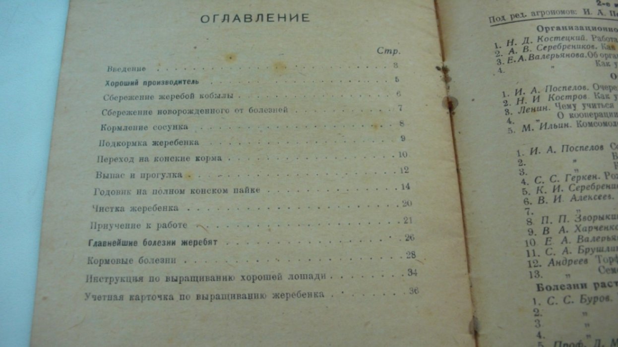 Орлов А.А. Как вырастить хорошую лошадь.