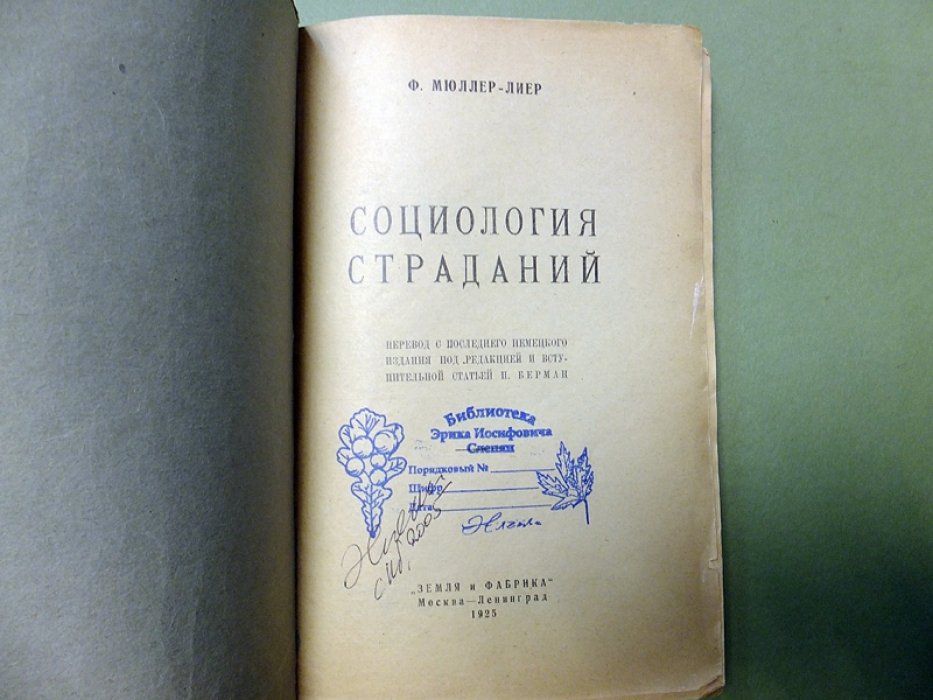 Мюллер-Лиер Ф. Социология страданий.