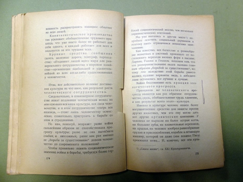 Мюллер-Лиер Ф. Социология страданий.