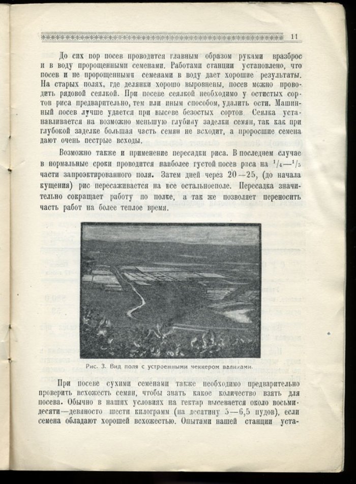 Панченко М.Е., Воложенин А.Г. Рис. Краткие сведения о культуре риса в Приморье.