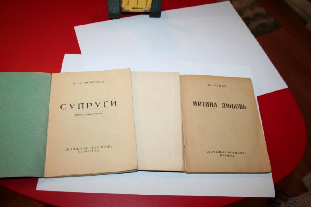 Дювернуа А. Супруги.
