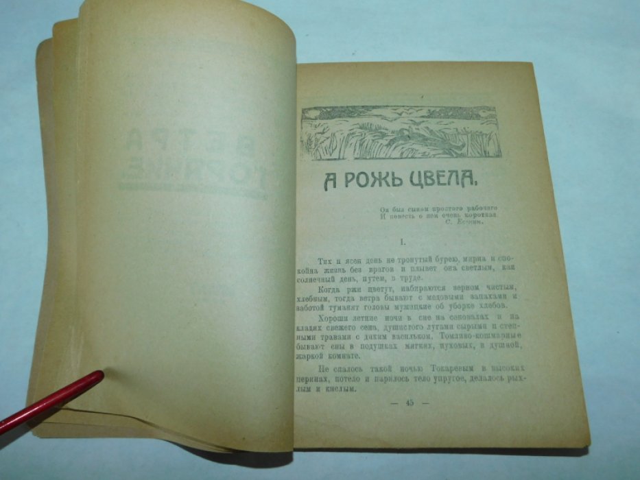 Величко Мих.Арсеньевич Через ступень.