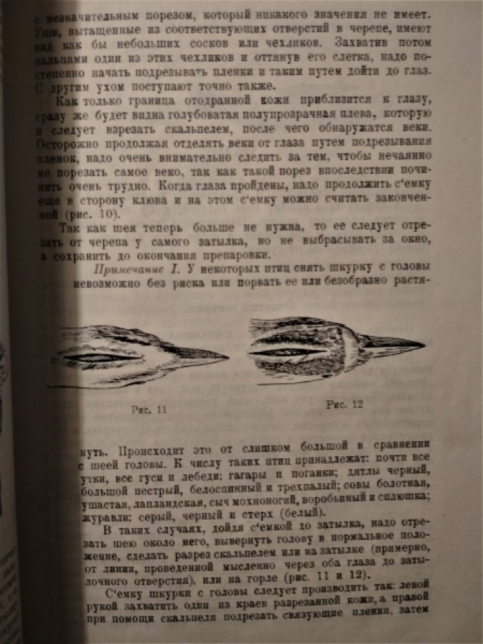 Залесский И.М. Набивка чучел птиц и зверей.