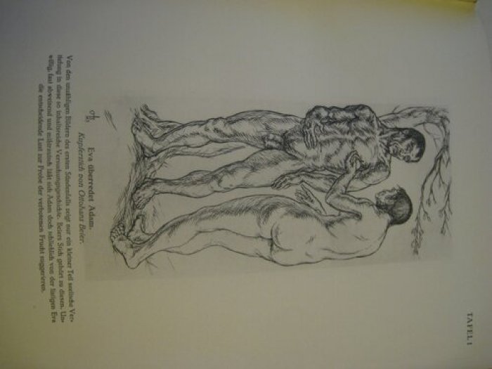 Bredt E.W. Das buch der versuchungen.