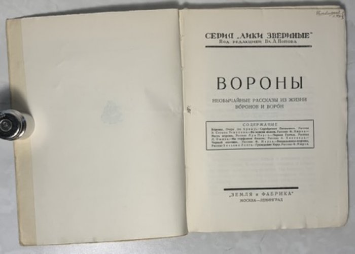 Вороны. Лики звериные.