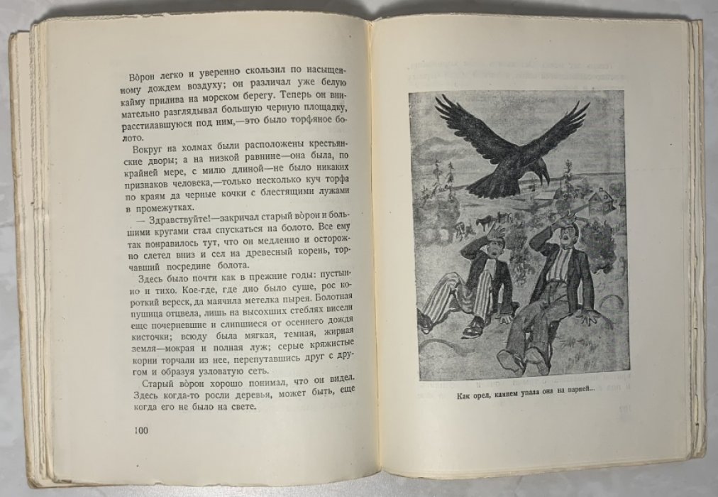 Вороны. Лики звериные.