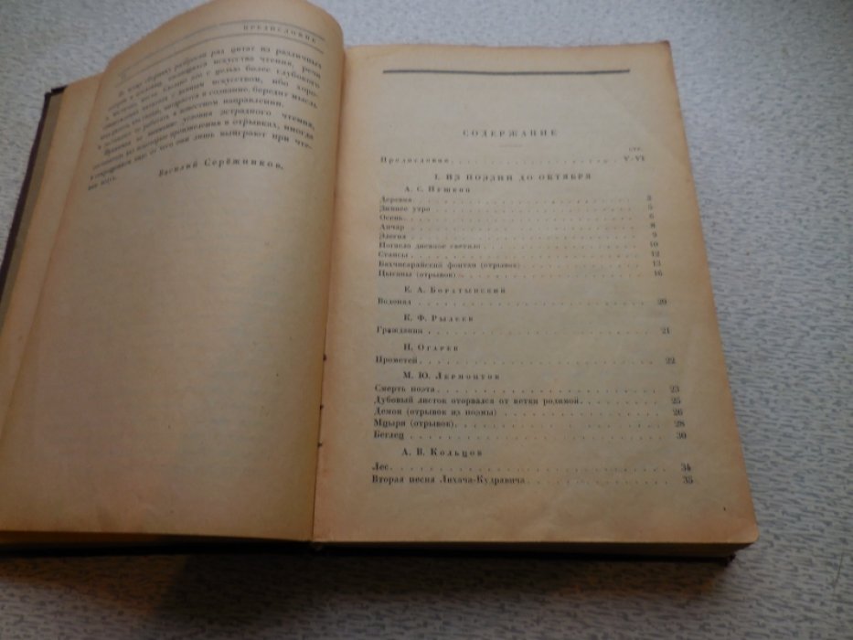 Сережников Василий. Чтец. Сборник.