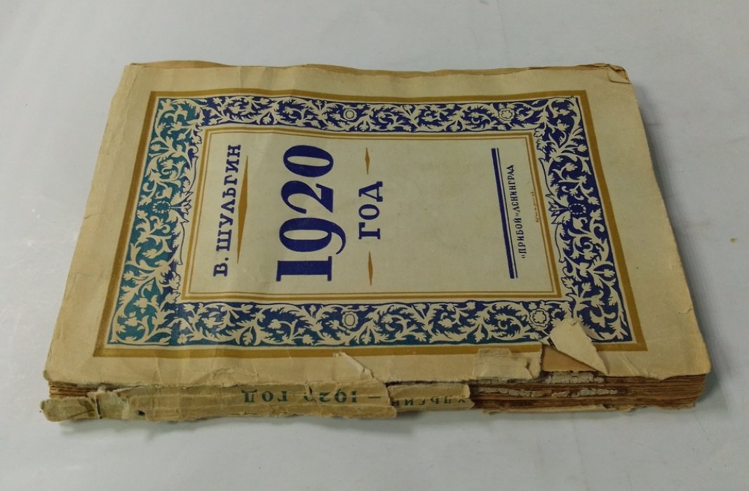 Шульгин, В.В. 1920 год.