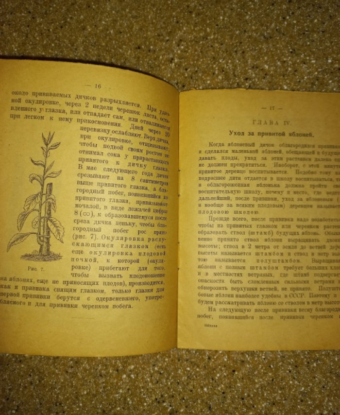Иноземцев-Коломенский И.А. Яблоня (Как вырастить яблоню).